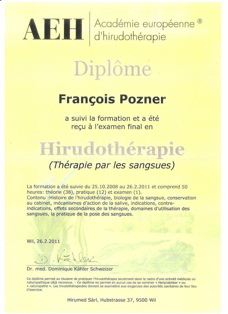 Hirudothérapie